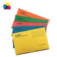 Amazon Hot Sale High Quality Vivid Color Paper Suspension Hanging File Folder